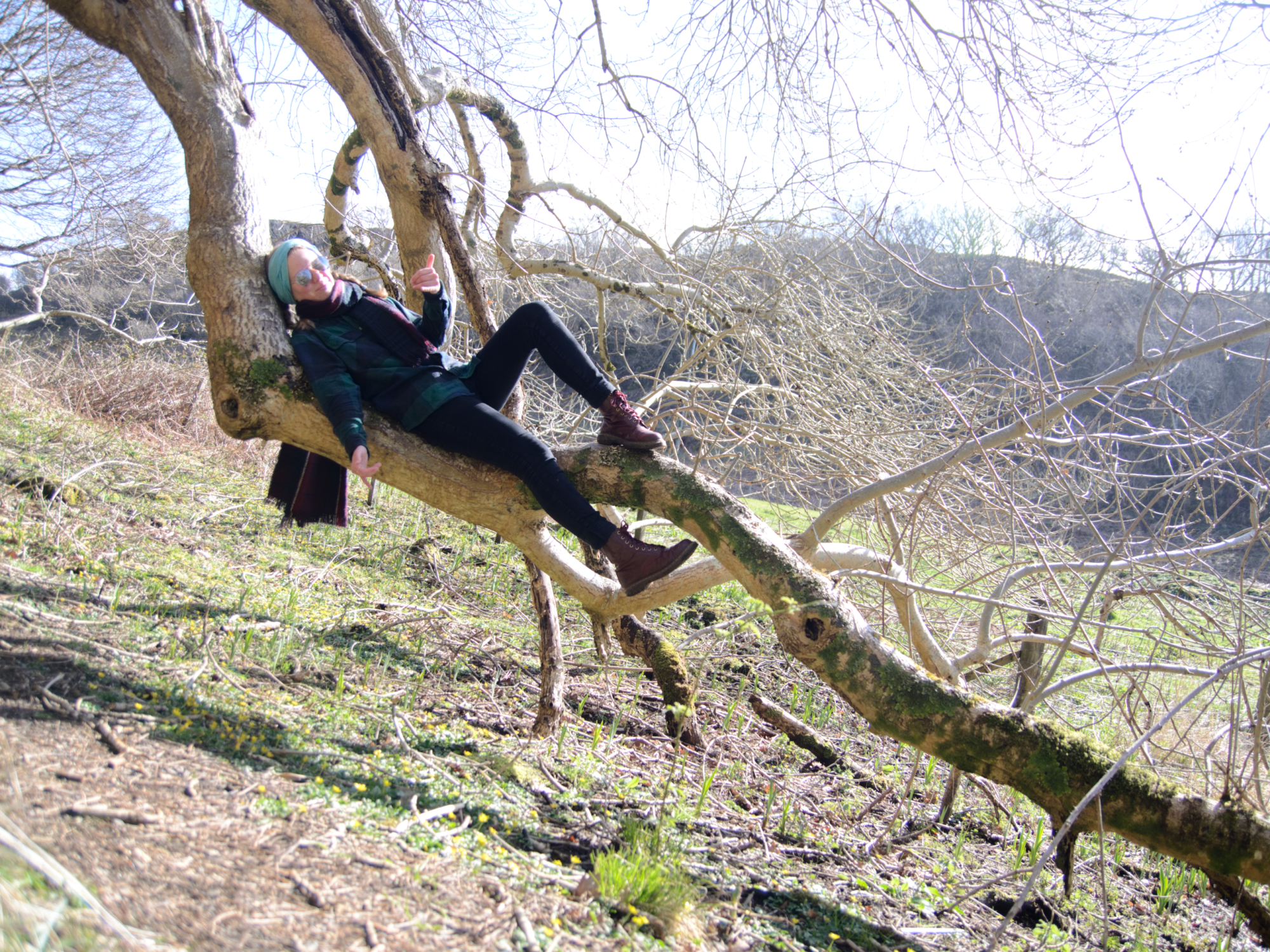 Ich in einem Baum,naja einem herabhängenden Ast