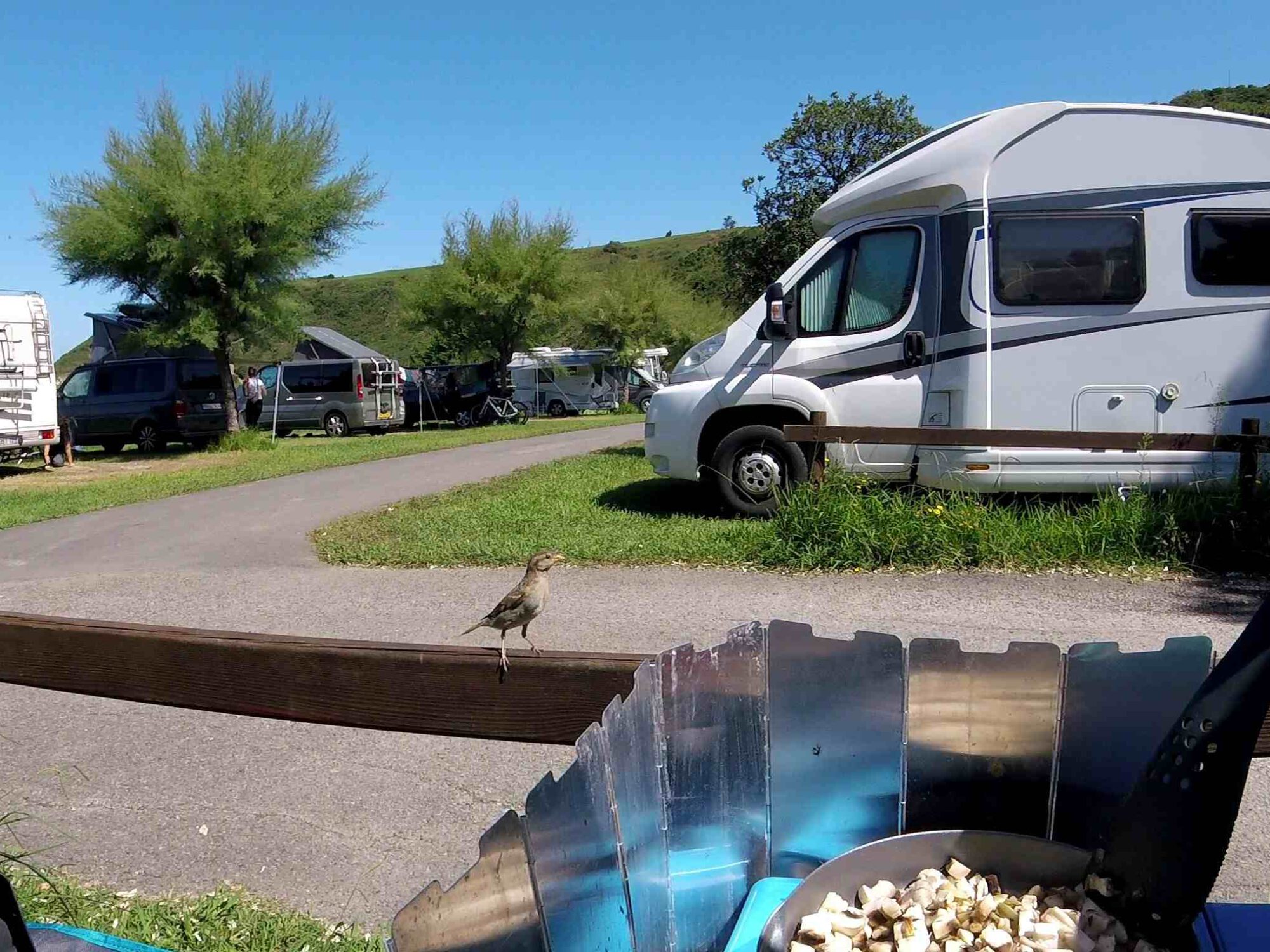 Ein Campingplatz mit Wohnmobilen im Hintergrund, im Vordergrund ein Campingkocher und ein Spatz auf dem Zaun