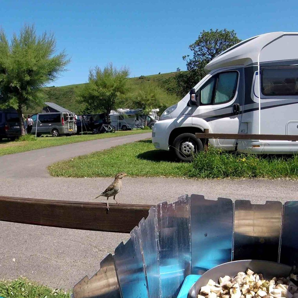 Ein Campingplatz mit Wohnmobilen im Hintergrund, im Vordergrund ein Campingkocher und ein Spatz auf dem Zaun