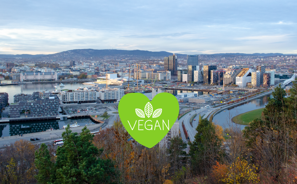 Die Skyline der Stadt Oslo zur Golden Hour und ein grünes vegan herz