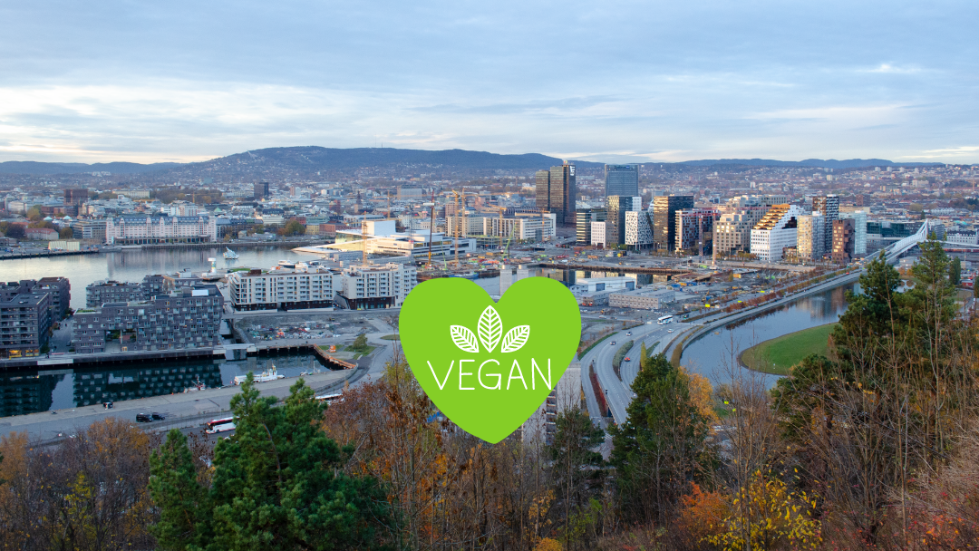 Die Skyline der Stadt Oslo zur Golden Hour und ein grünes vegan herz